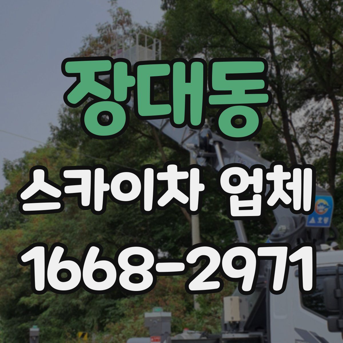 장대동 스카이차 업체