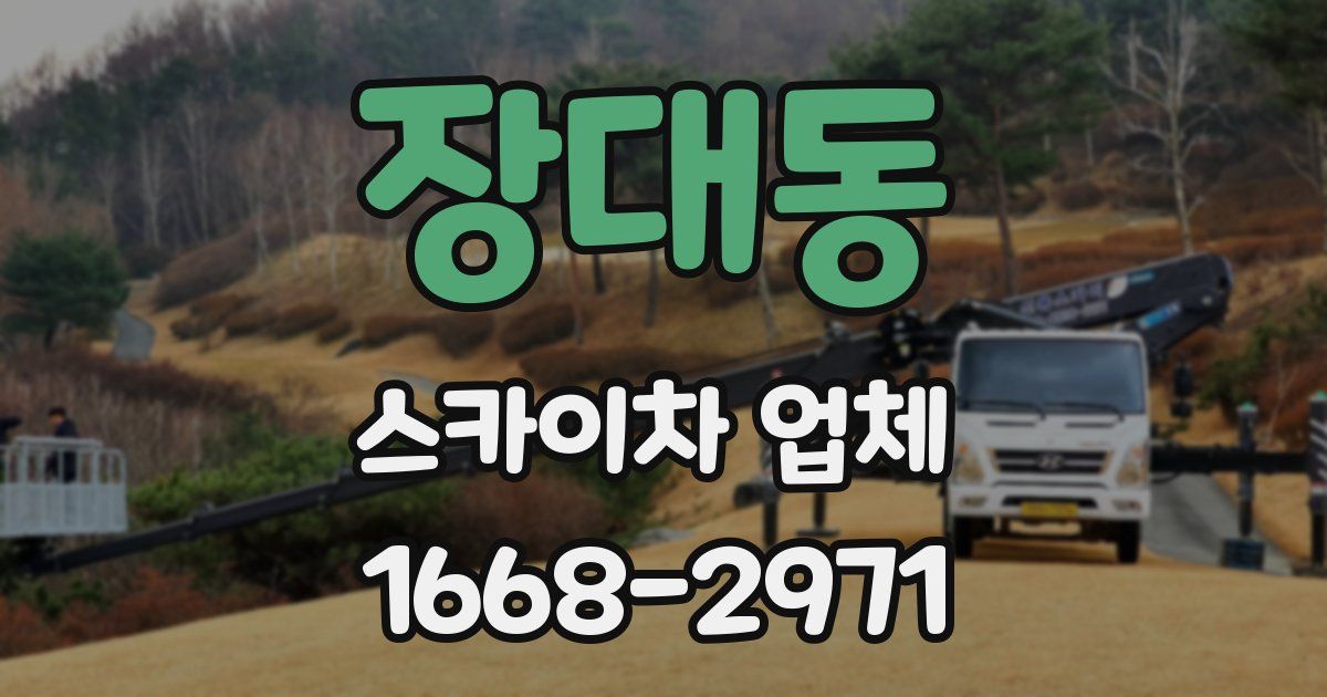 장대동 스카이차 업체