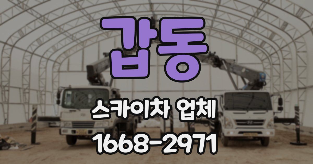 갑동 스카이차 업체