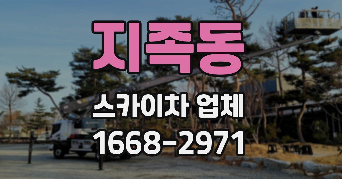 지족동 스카이차 업체
