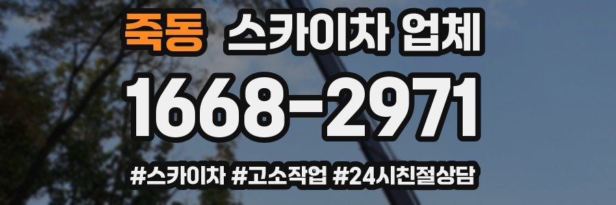 죽동 스카이차 업체