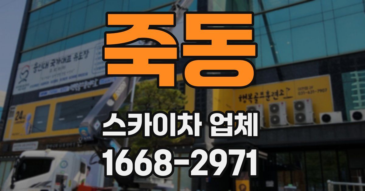 죽동 스카이차 업체