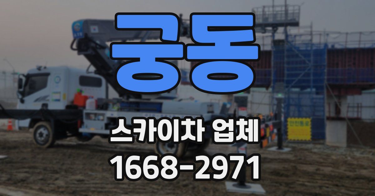 궁동 스카이차 업체