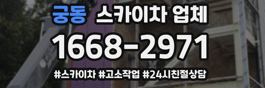 궁동 스카이차 업체