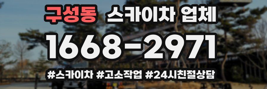 구성동 스카이차 업체