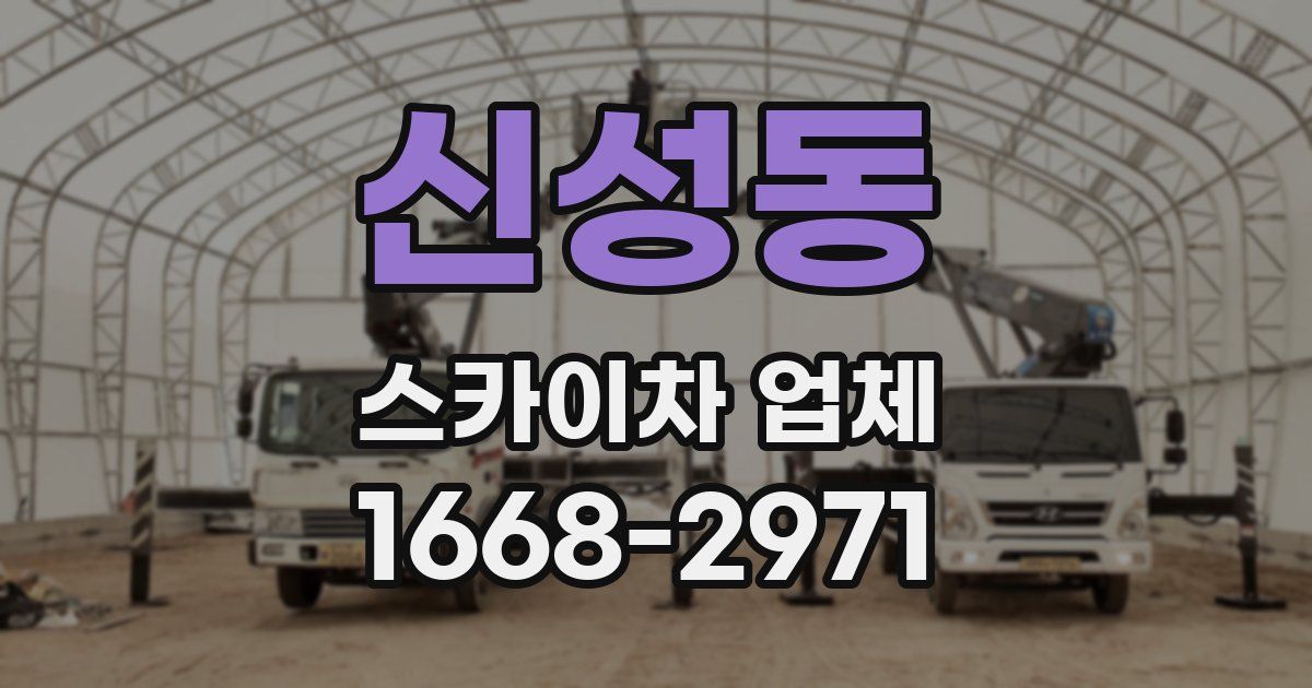 신성동 스카이차 업체