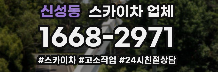 신성동 스카이차 업체