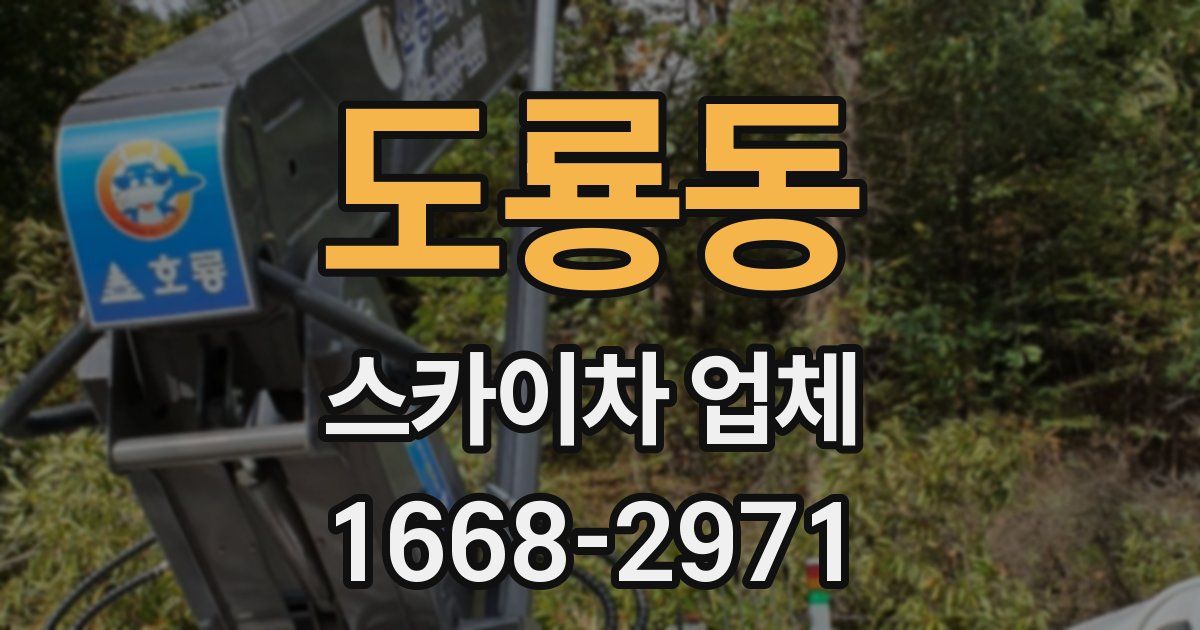 도룡동 스카이차 업체
