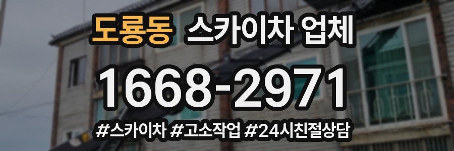 도룡동 스카이차 업체