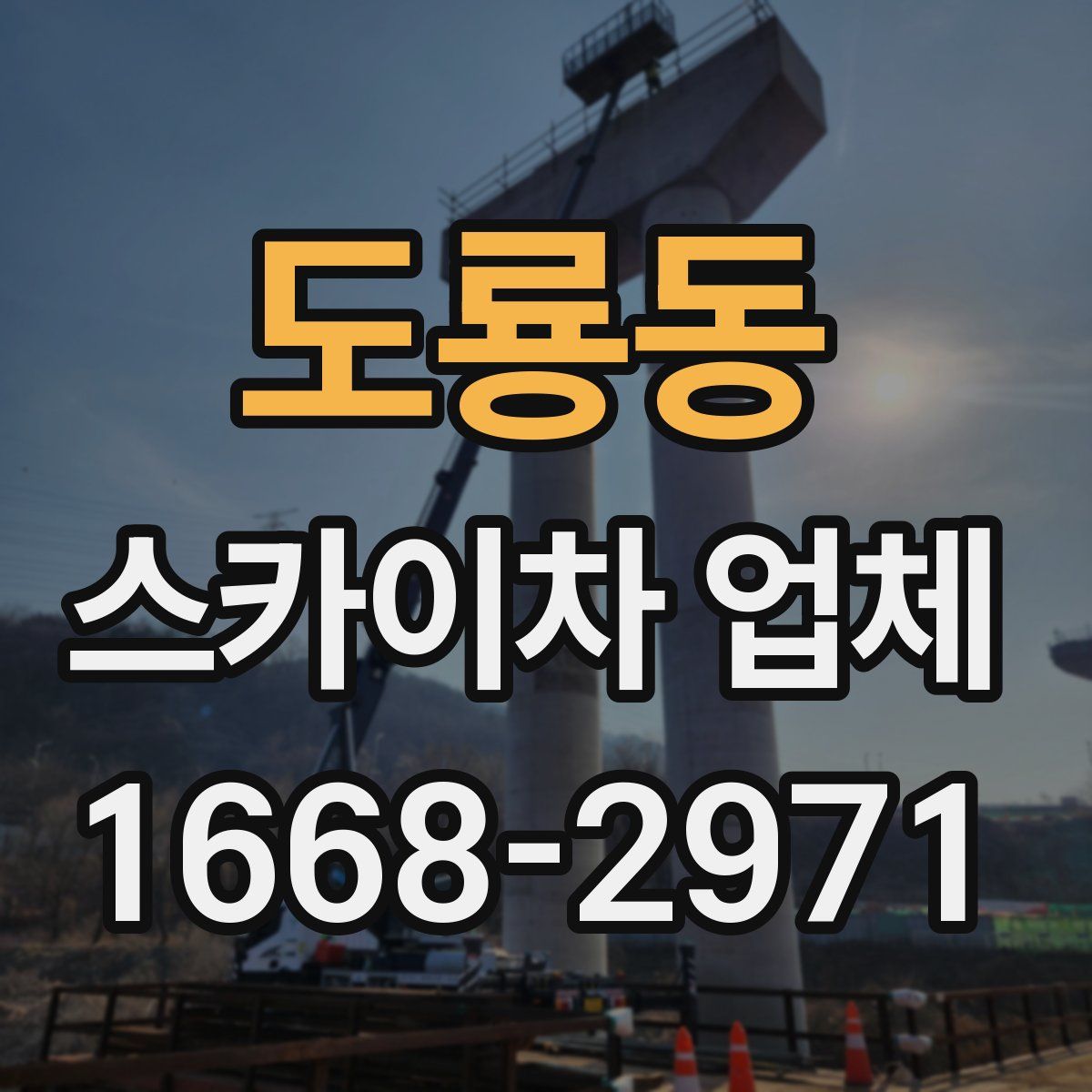 도룡동 스카이차 업체