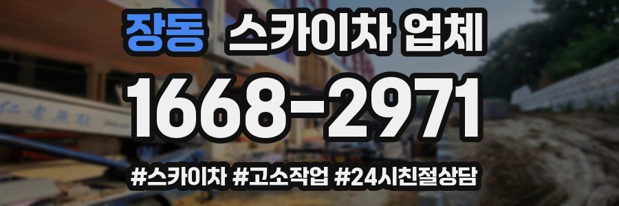 장동 스카이차 업체