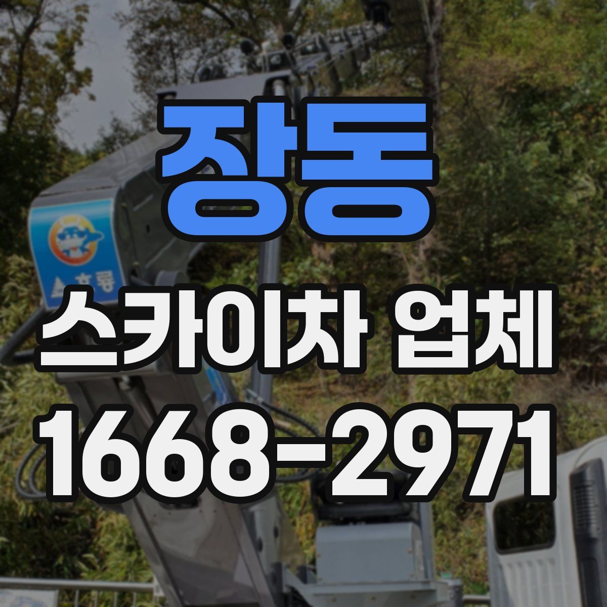 장동 스카이차 업체