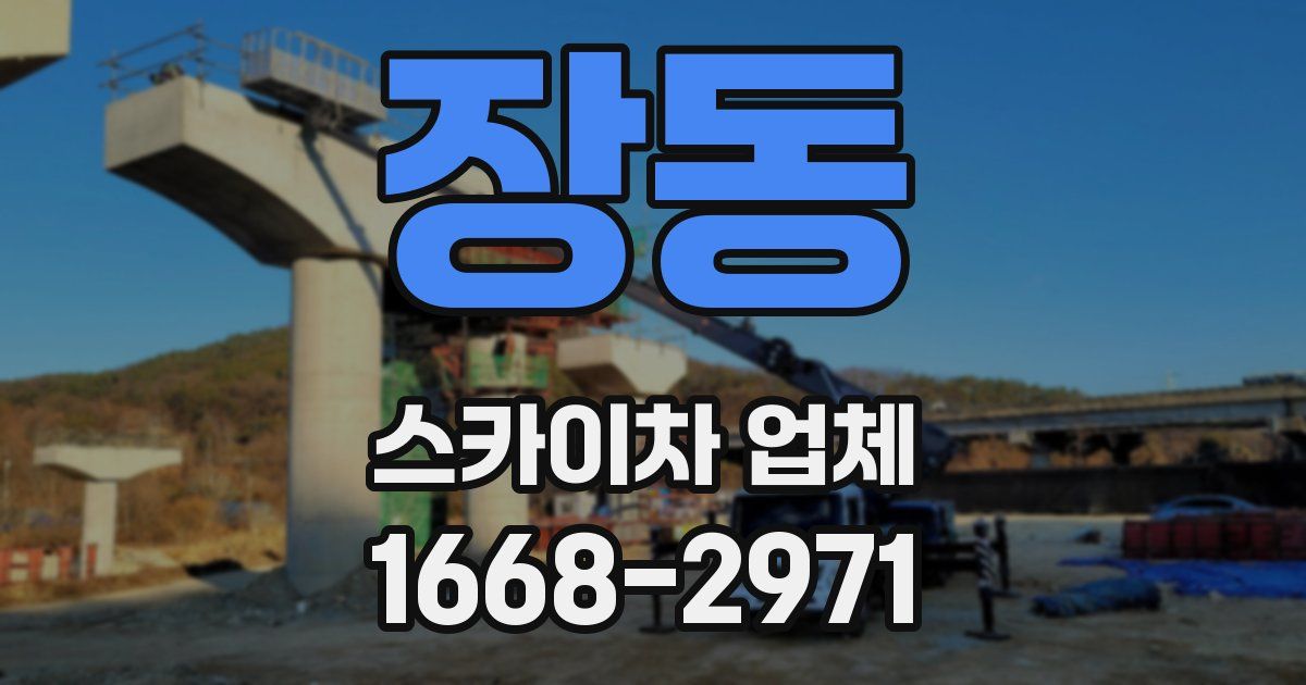 장동 스카이차 업체