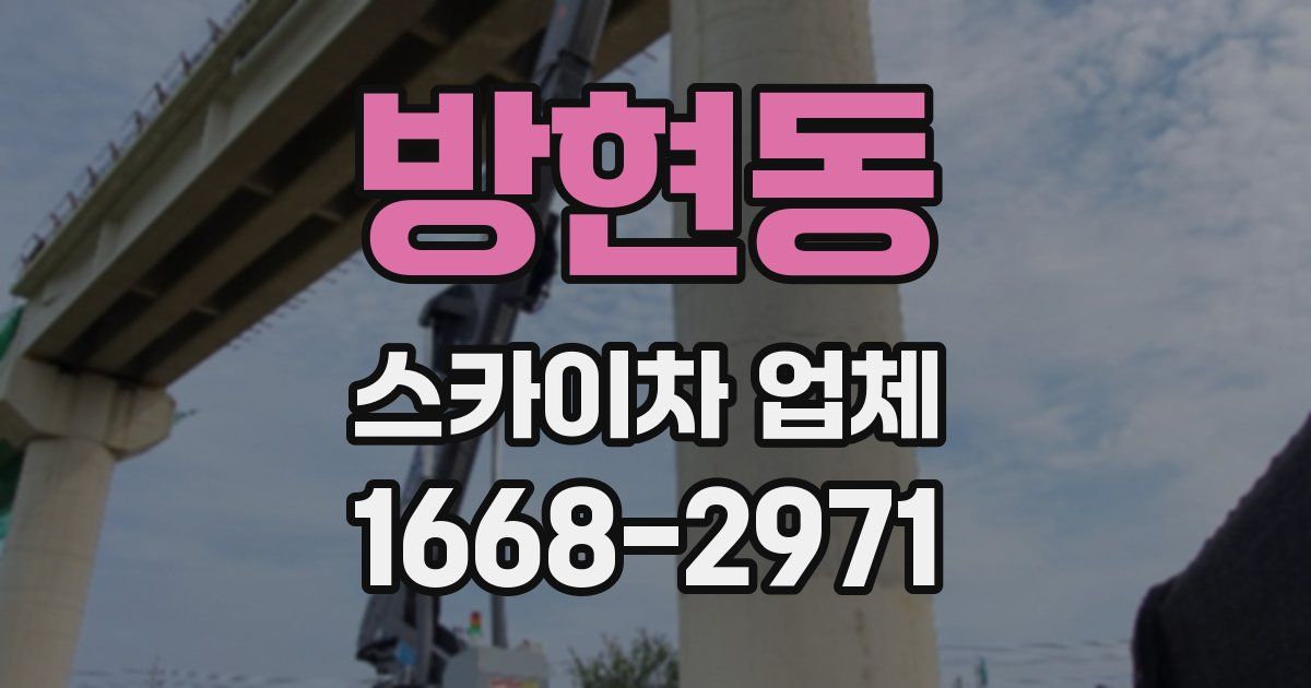 방현동 스카이차 업체
