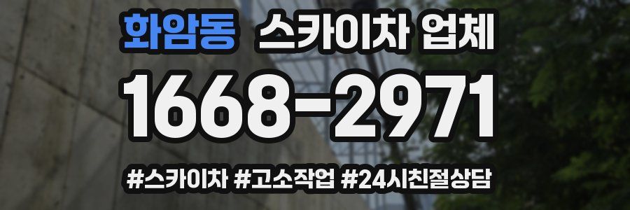 화암동 스카이차 업체