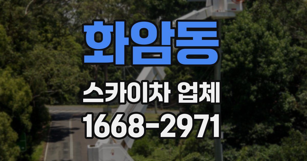 화암동 스카이차 업체