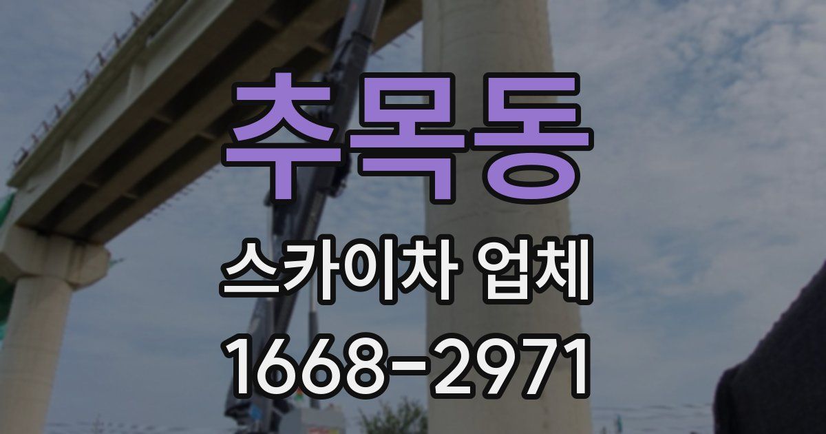 추목동 스카이차 업체