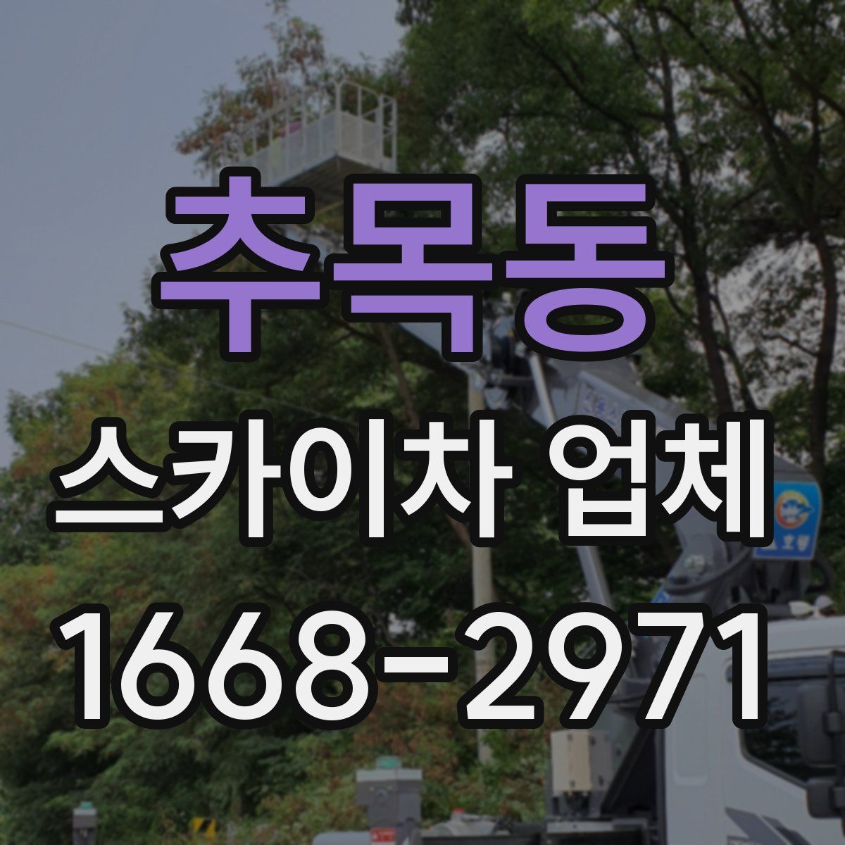추목동 스카이차 업체