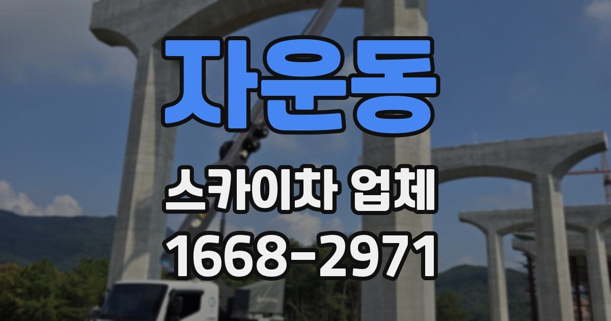 자운동 스카이차 업체