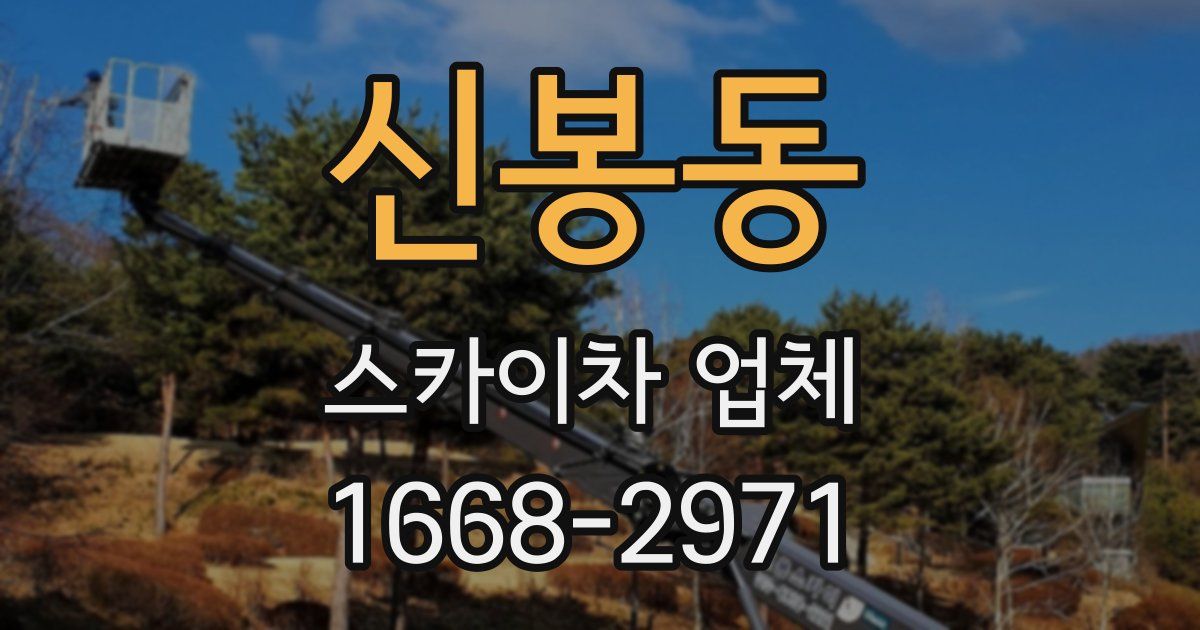 신봉동 스카이차 업체