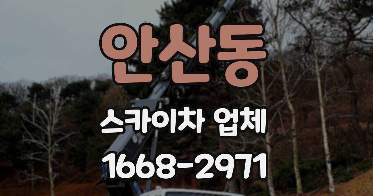 안산동 스카이차 업체