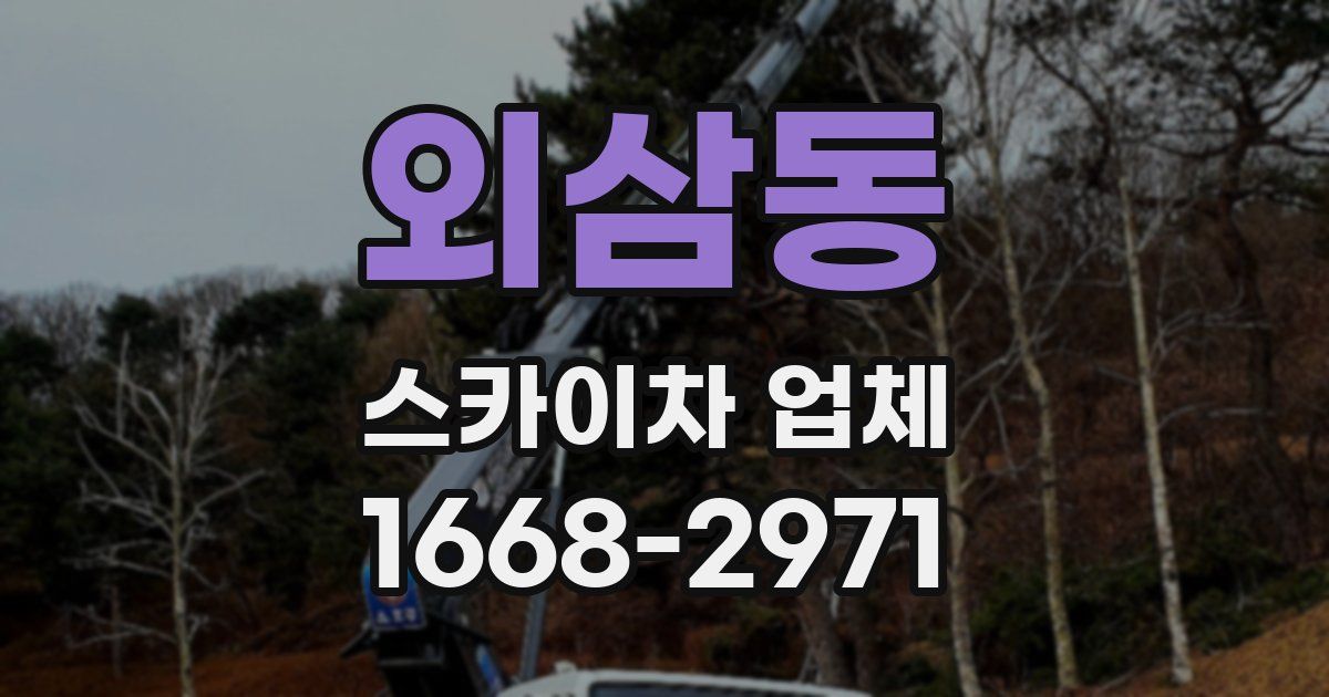 외삼동 스카이차 업체