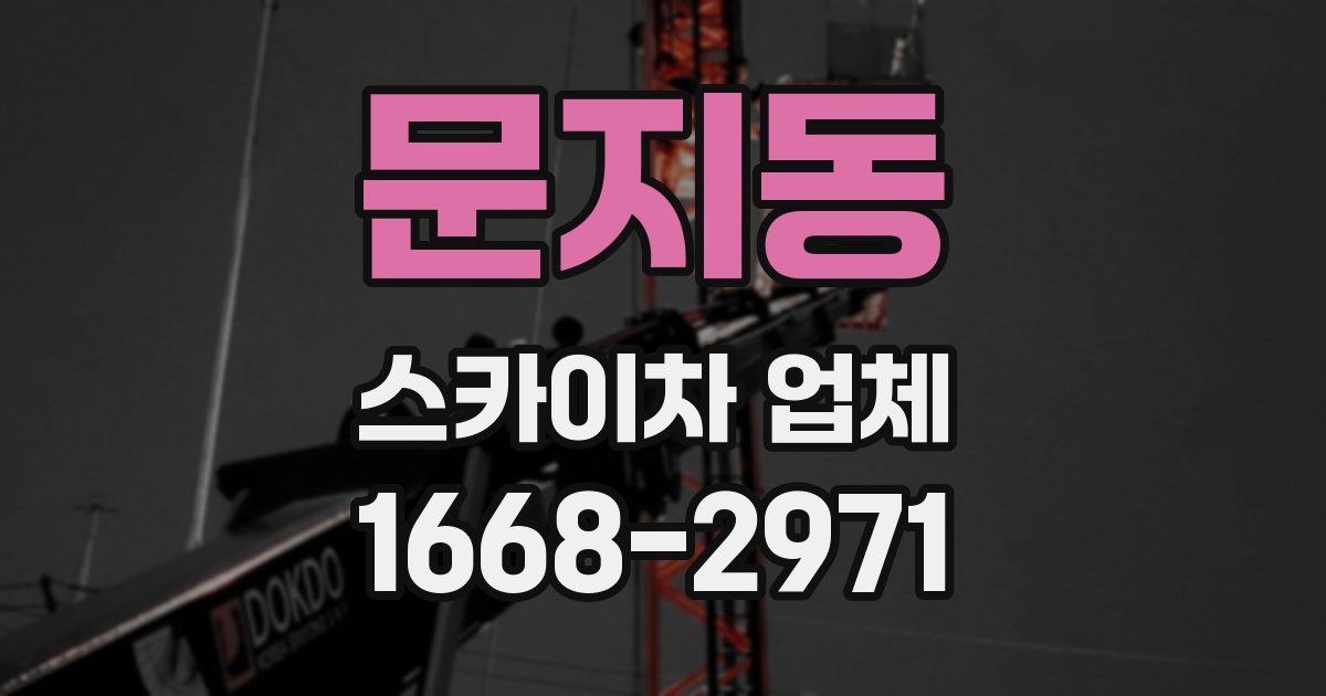 문지동 스카이차 업체