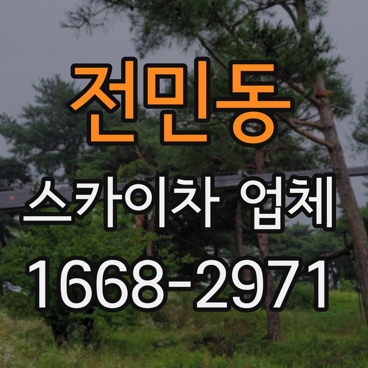 전민동 스카이차 업체