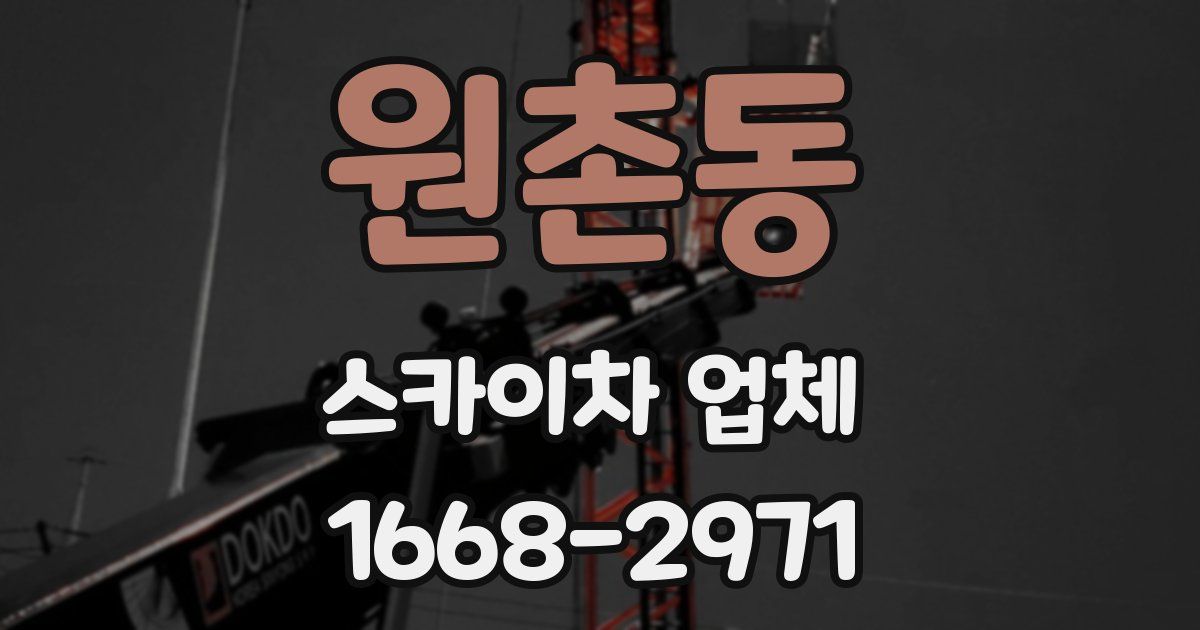 원촌동 스카이차 업체