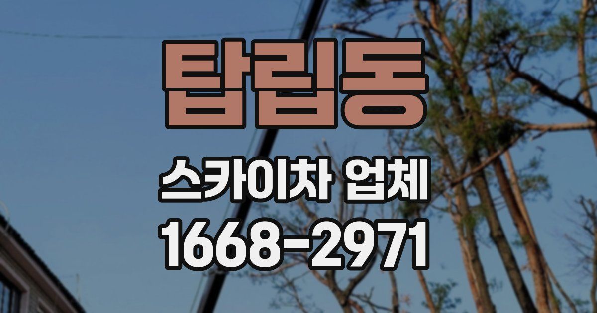 탑립동 스카이차 업체
