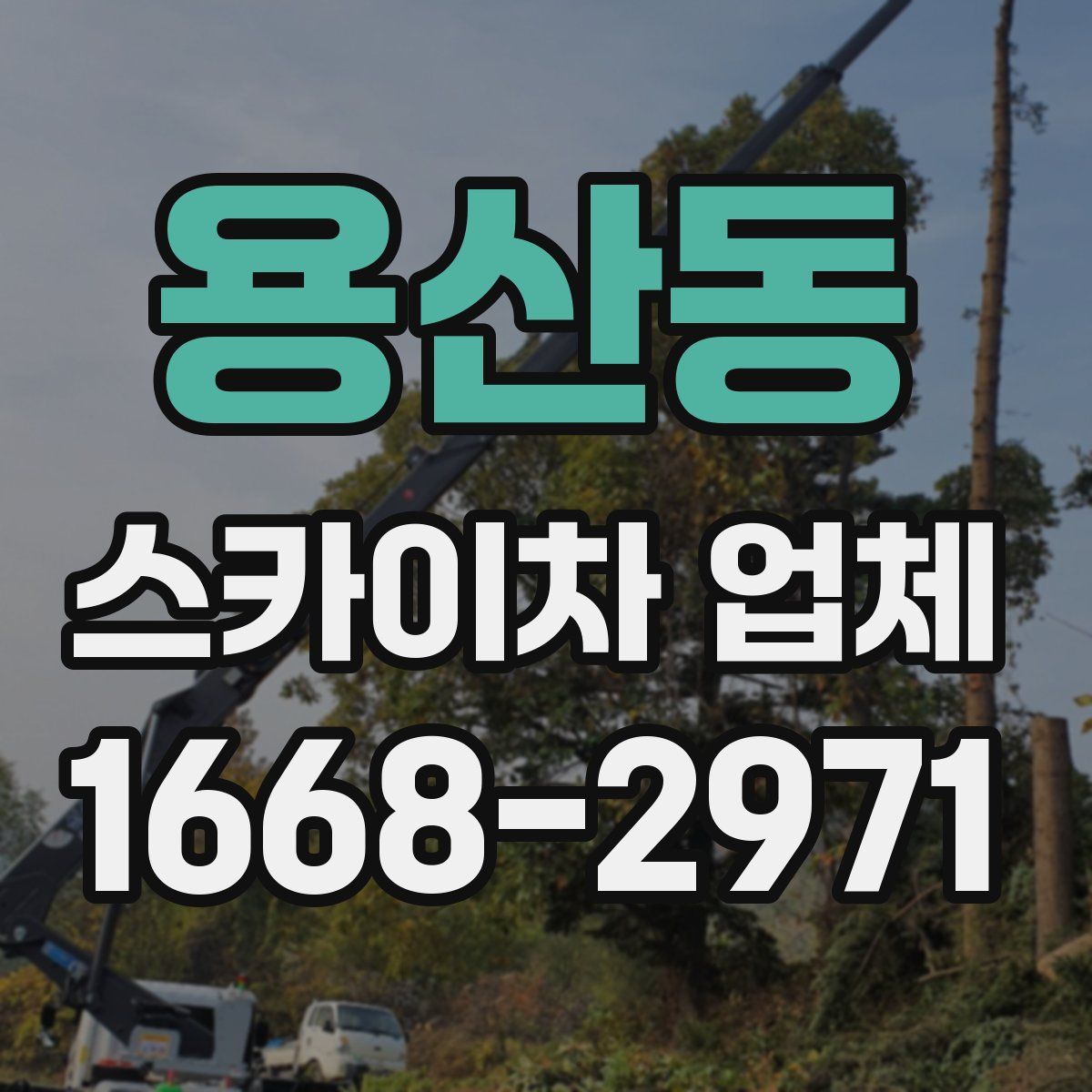 용산동 스카이차 업체