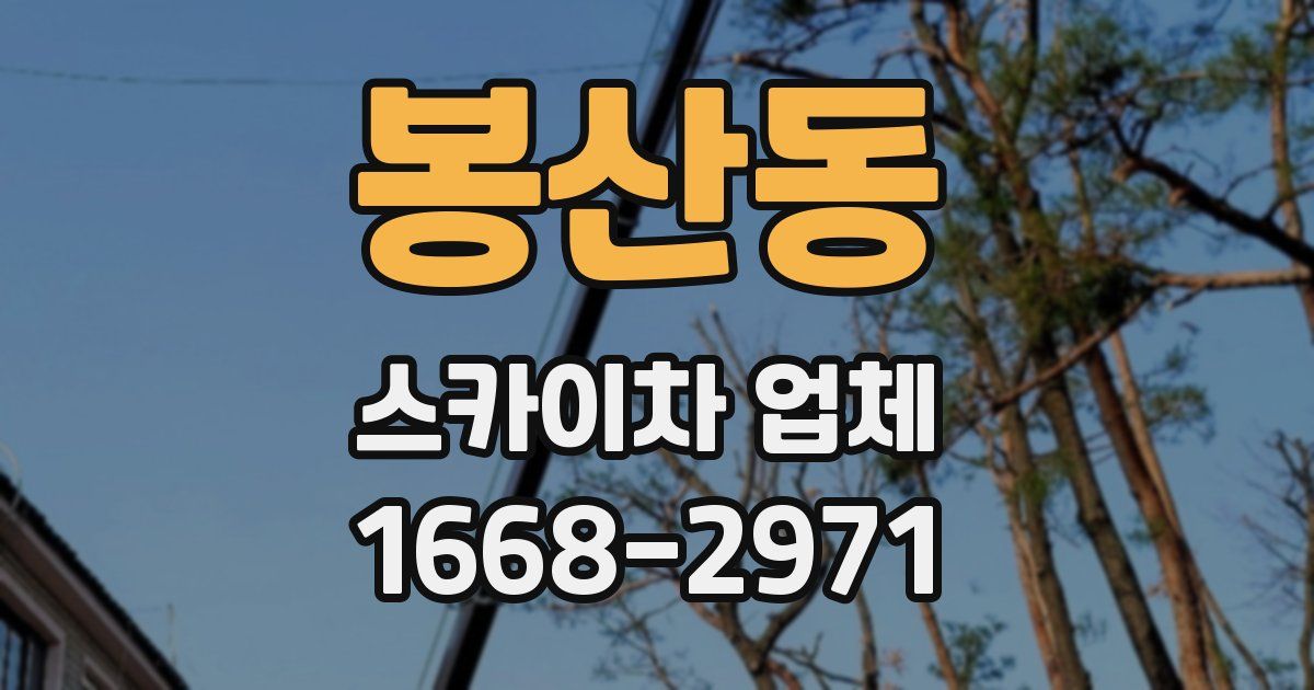 봉산동 스카이차 업체