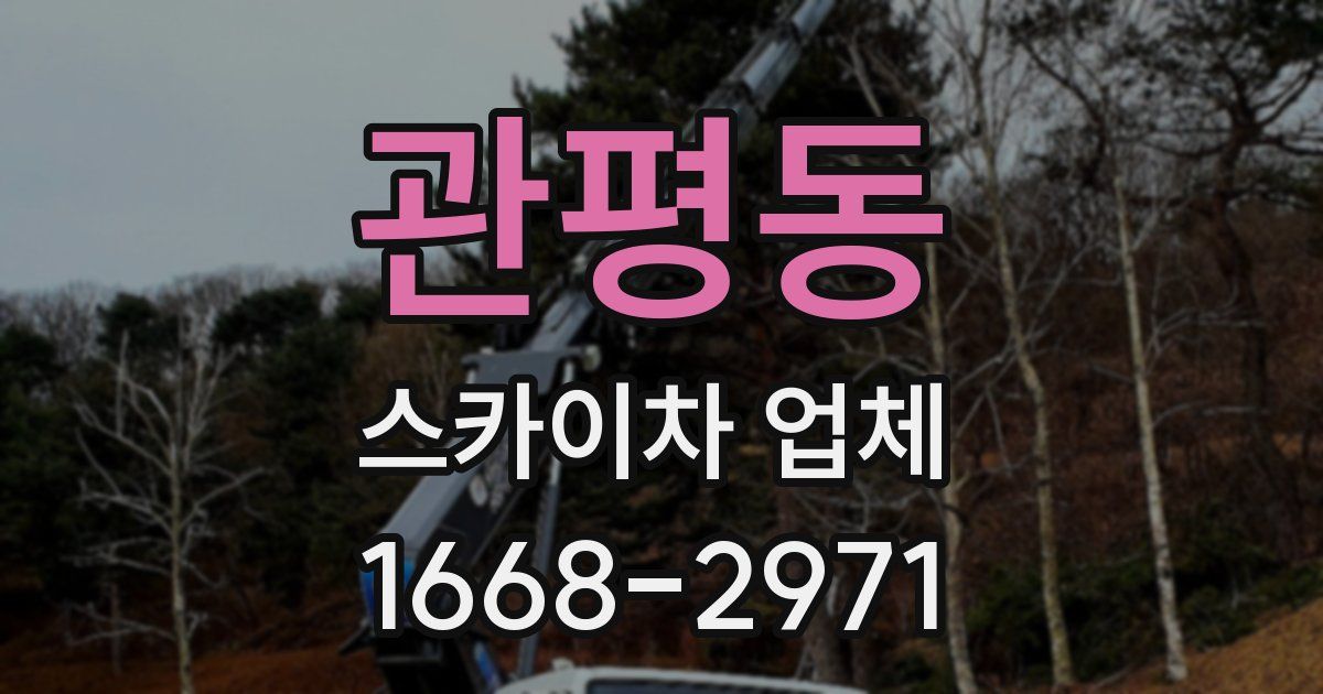 관평동 스카이차 업체