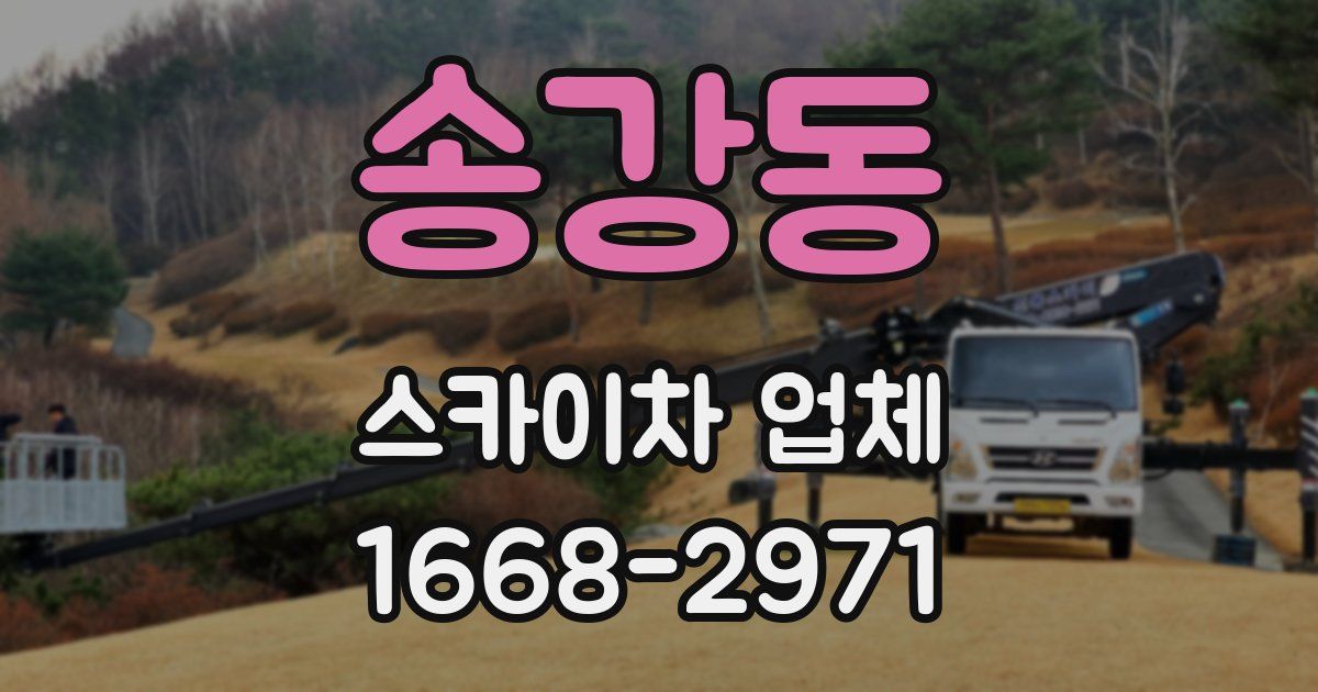 송강동 스카이차 업체