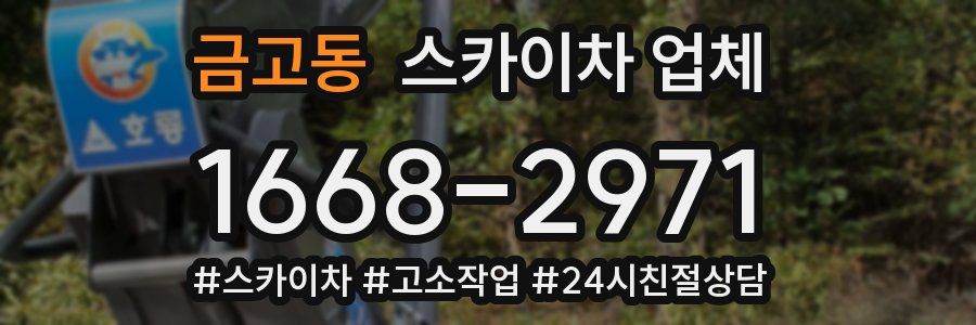 금고동 스카이차 업체