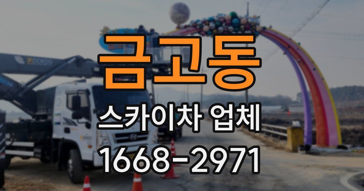 금고동 스카이차 업체