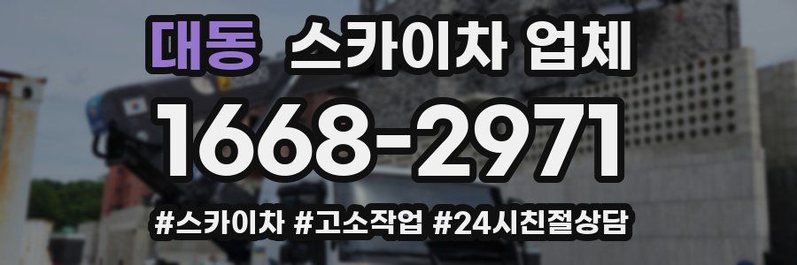 대동 스카이차 업체