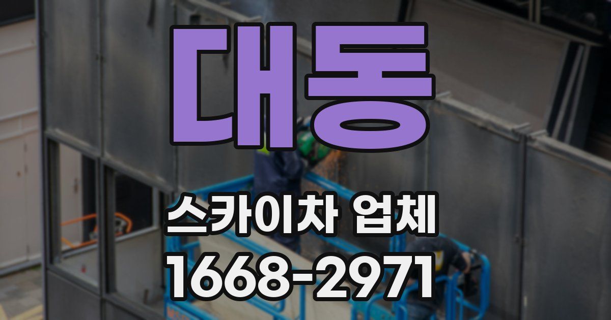 대동 스카이차 업체