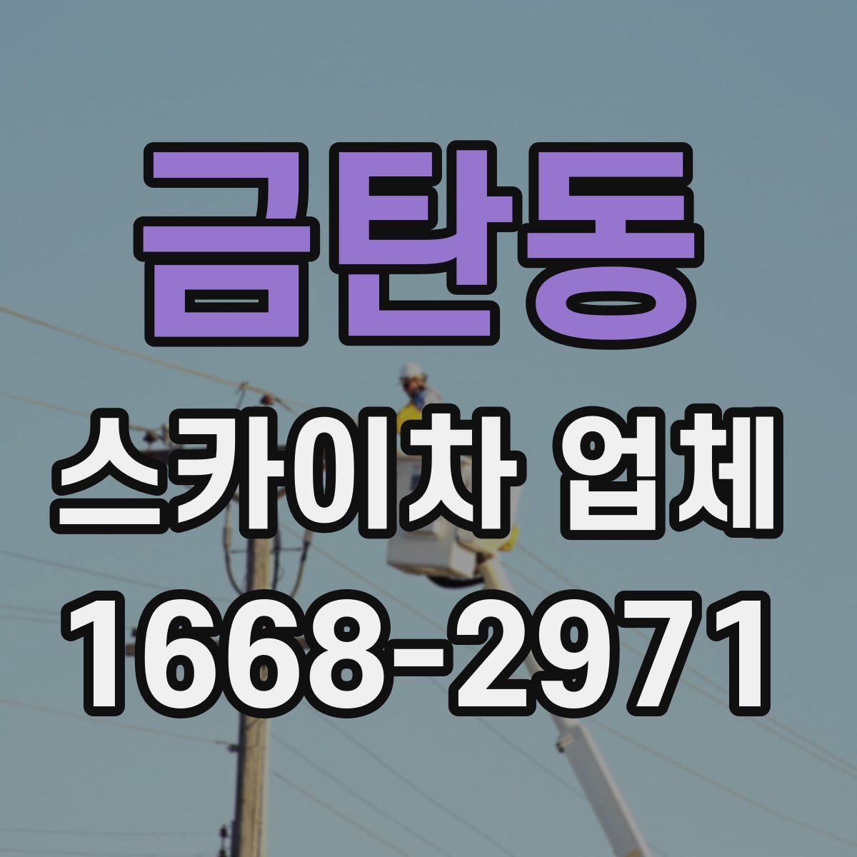 금탄동 스카이차 업체