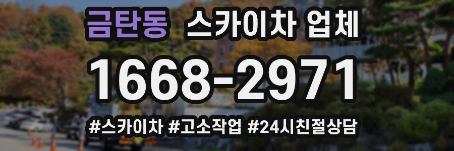 금탄동 스카이차 업체
