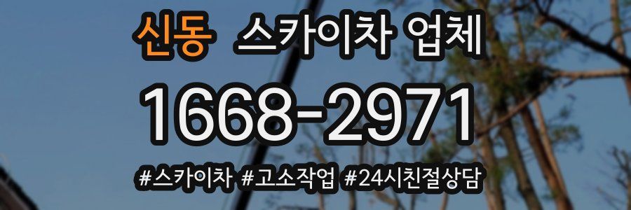 신동 스카이차 업체