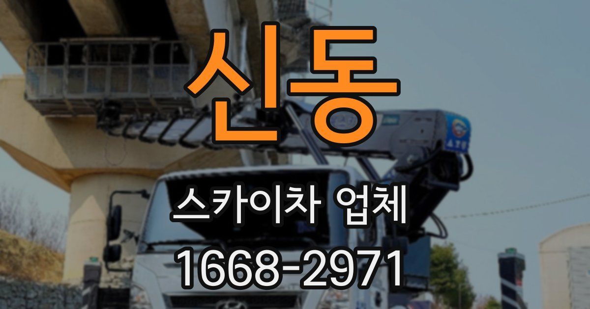 신동 스카이차 업체