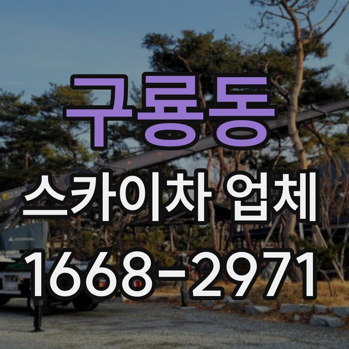 구룡동 스카이차 업체