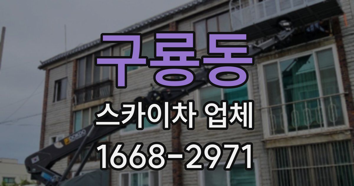 구룡동 스카이차 업체