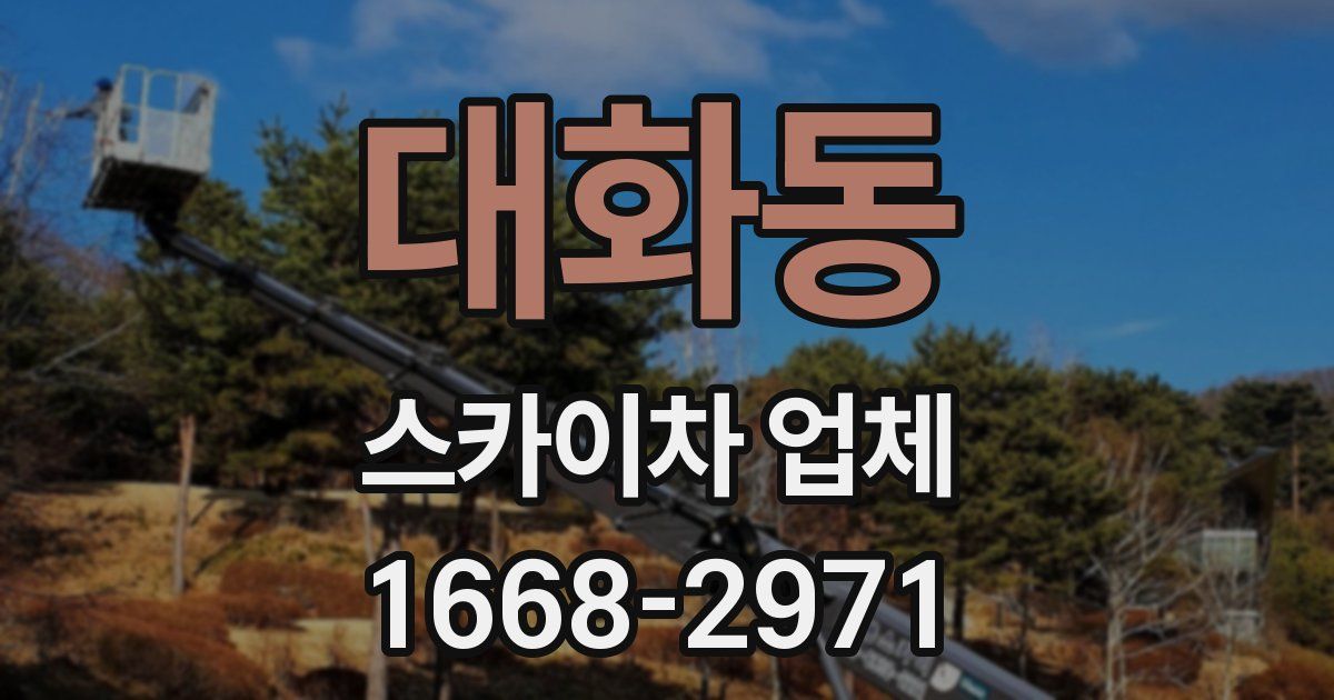 대화동 스카이차 업체