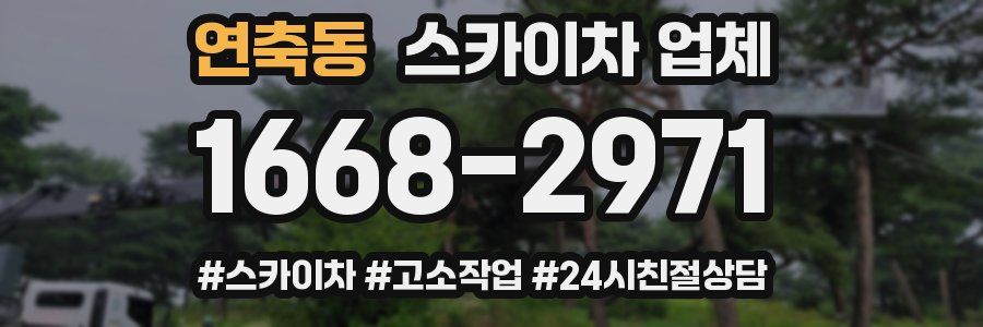 연축동 스카이차 업체