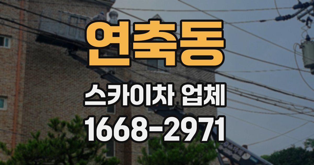 연축동 스카이차 업체