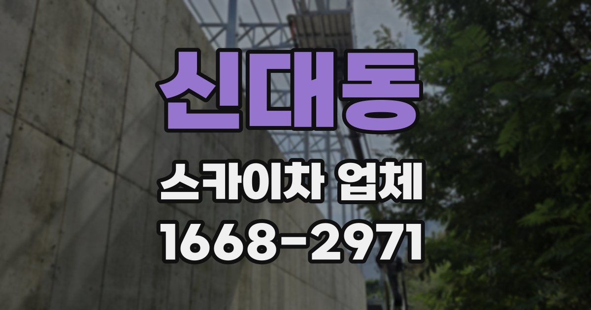 신대동 스카이차 업체