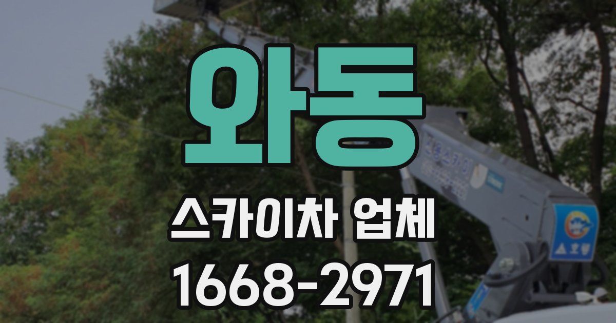 와동 스카이차 업체