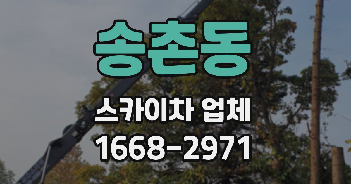 송촌동 스카이차 업체